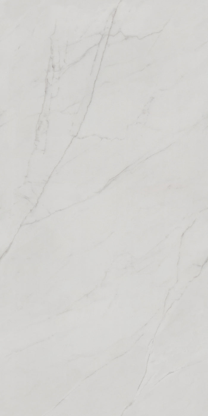 Linea Marble 24x48" Porcelain Floor Tile