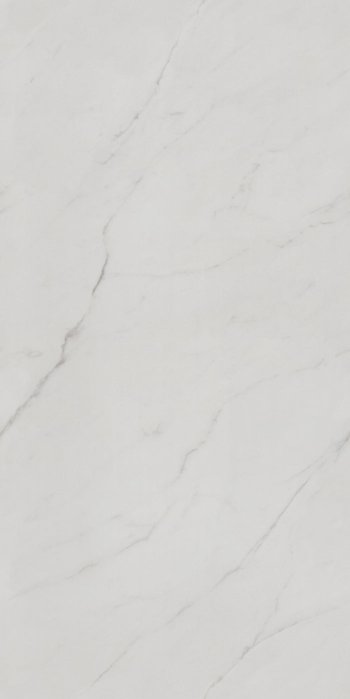 Linea Marble 24x48" Porcelain Floor Tile