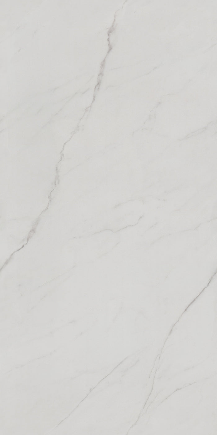 Linea Marble 24x48" Porcelain Floor Tile