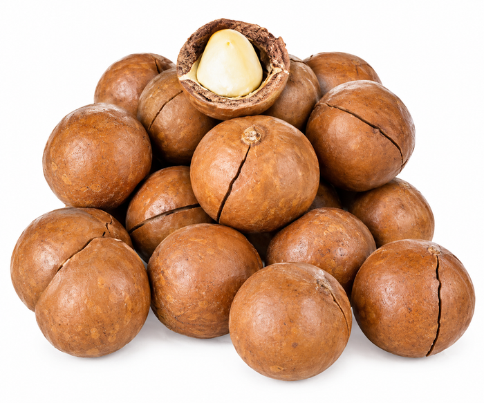 Macadamia Nuts