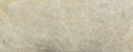 Matira (Taj Mahal) Quartzite Slab (Per Square Foot)