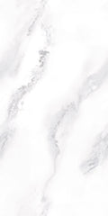Michelangelo 24x48" Porcelain Floor Tile