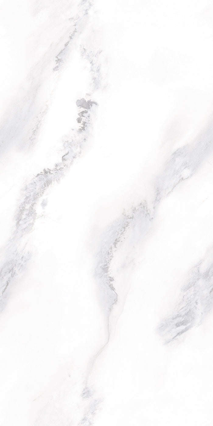 Michelangelo 24x48" Porcelain Floor Tile