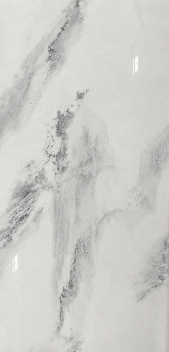 Michelangelo 24x48" Porcelain Floor Tile