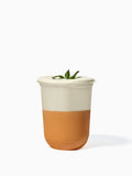 NATURAL 16oz Rounded Bottom Compostable Arc 98mm Cup