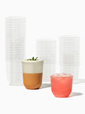 NATURAL Arc Rounded Bottom Compostable Cup 98mm Bundle