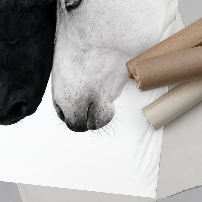 Opposites Attract — Art Print Vertical #06