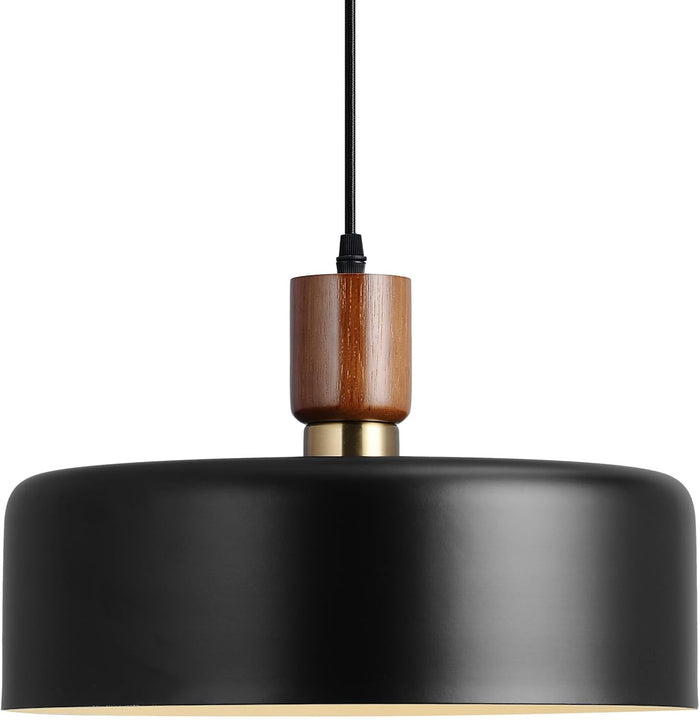 Pendant 1-Light #P26851 -Black
