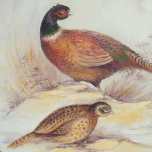 Pheasants - JP1092