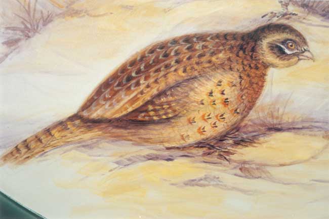 Pheasants - JP1092