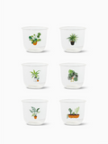 Plant Mom - NATURAL 12oz Arc