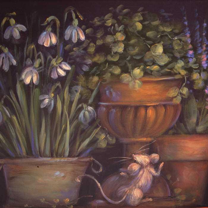 Potting Shed