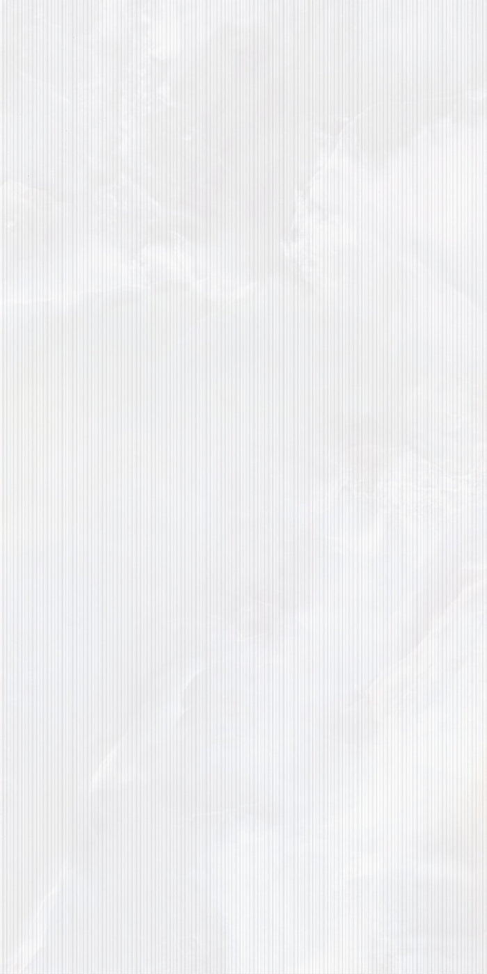 Precious Lineas White Silk 24x48" Porcelain Wall Tile