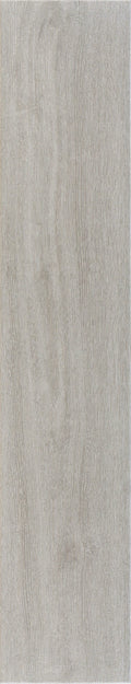 Pris. Trunk Grey 09x47" Porcelain Floor