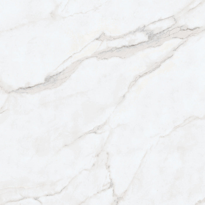 Statuario 24x24" Porcelain Floor Tile