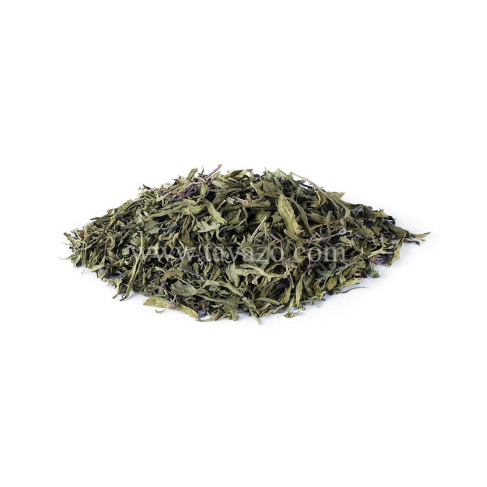 Basil - Tavazo Corporation