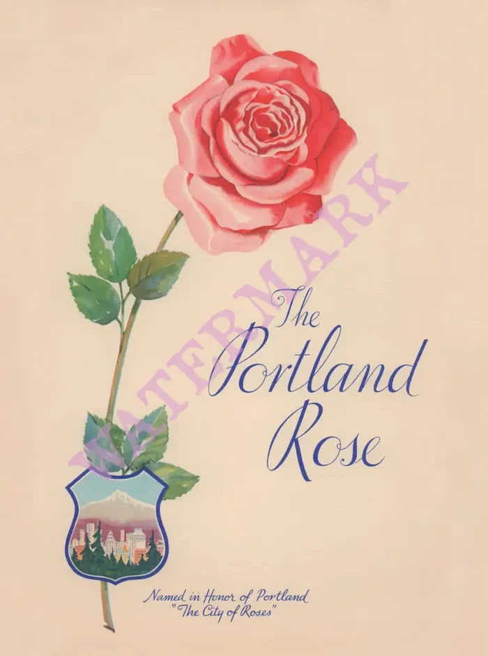 The Portland Rose, Dining Car 1950s Menu Art