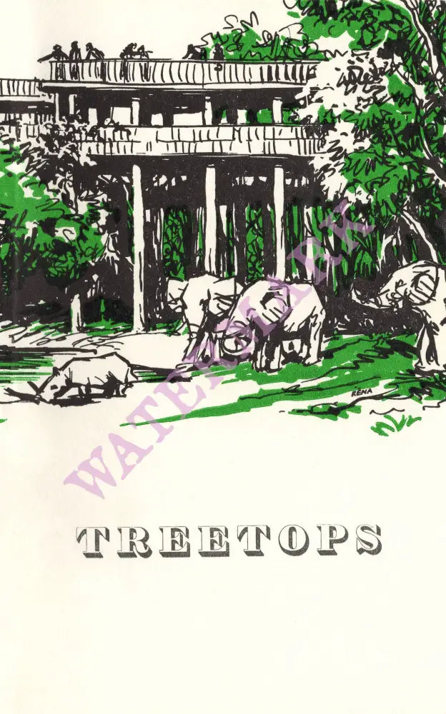 Treetops Hotel, Kenya 1960s vintage menu art