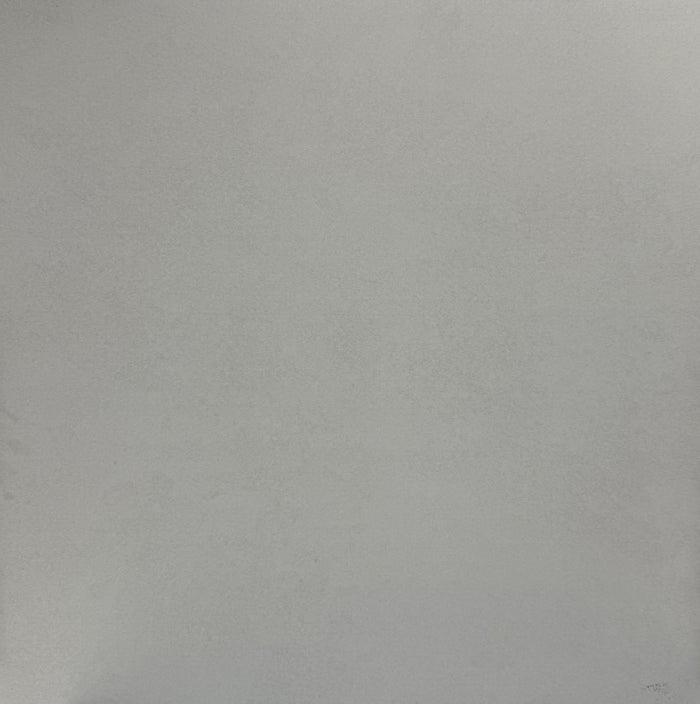 Urban Cimento ESM ACET 24x24" Porcelain Floor Tile