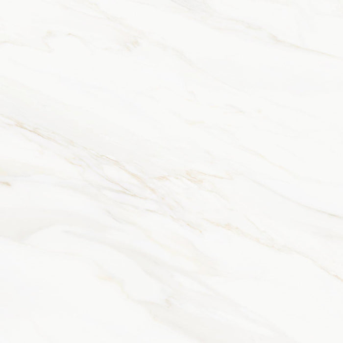 Venus Alpe AC 24x24" Porcelain Floor Tile