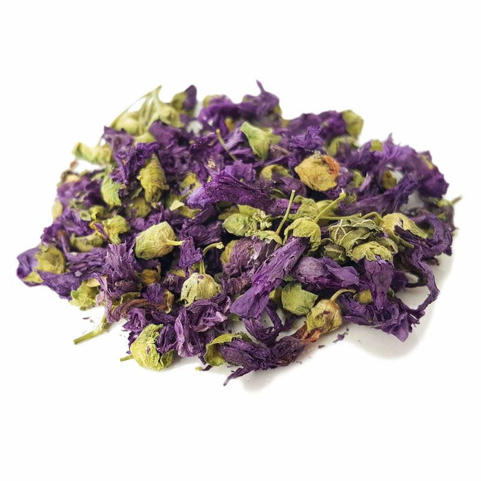 violet-flower-gol-banafshi
