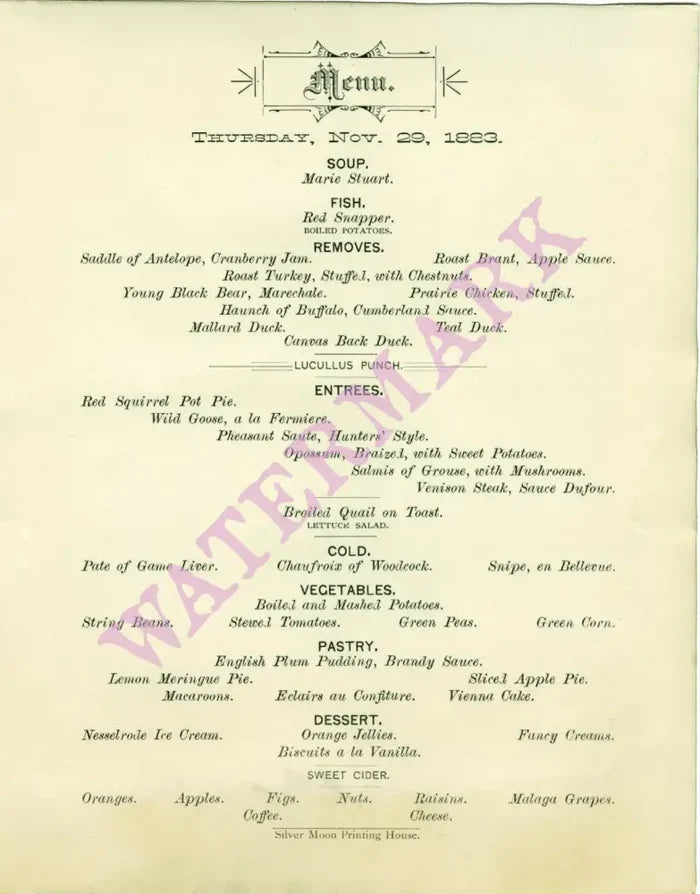 Windsor Hotel, St Paul, Thanksgiving 1883